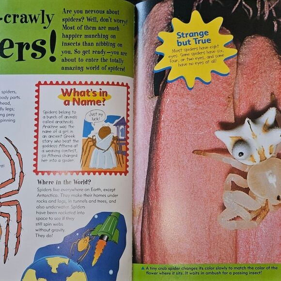Totally Amazing Spiders by Golden Books 1998 Childrens Book 7-11 year old reader - Picture 3 of 8
